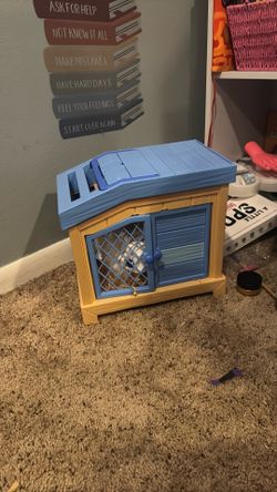 Pet alive bunny