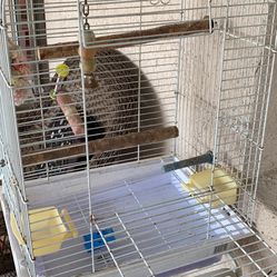 Bird Cage With Stand