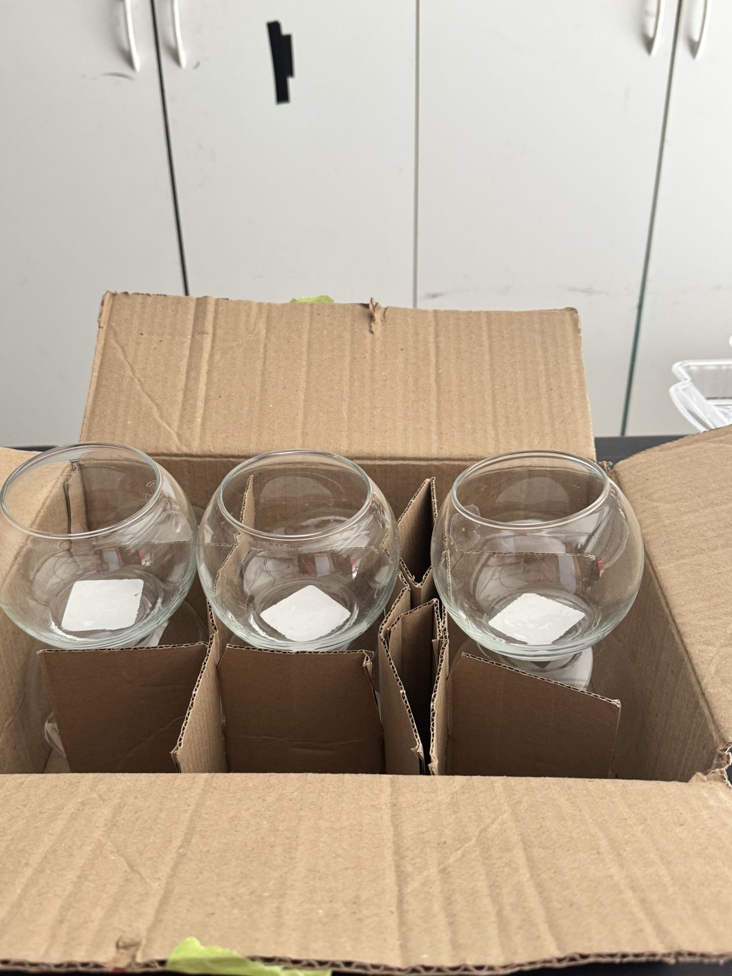 Glass Bowls