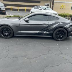 Mustang GT 5.0