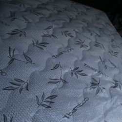 Mattress For Sale