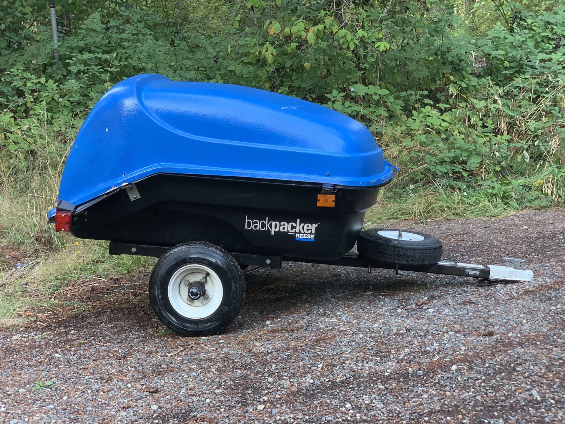Reese Backpacker Cargo trailer