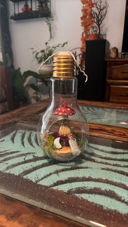 Mushroom Terrarium in Glass Light Bulb