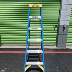 Werner 6ft ladder