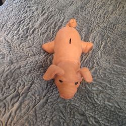 Piggie Bank 