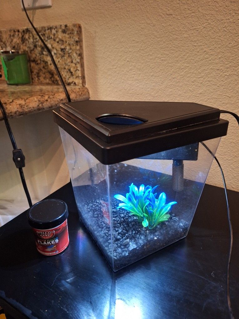 1 Gallon Diamond Fish Tank