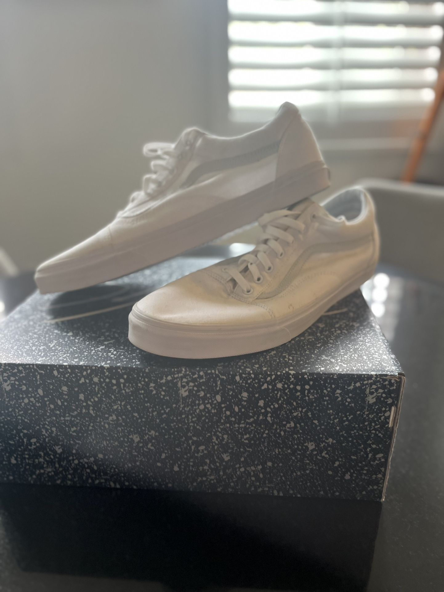 Men Vans Athletic Shoe