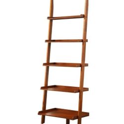 Bookshelf Ladder