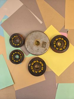Gold s Gym Weight Plate Lot 15 lb Total