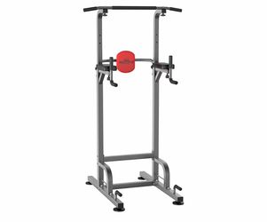 Pull Up Bar Dip Station