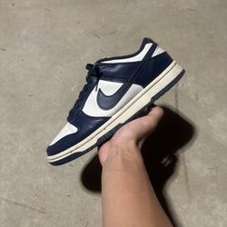 Nike Dunk Size 7.5