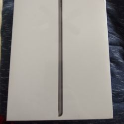 Apple iPad 256GB 