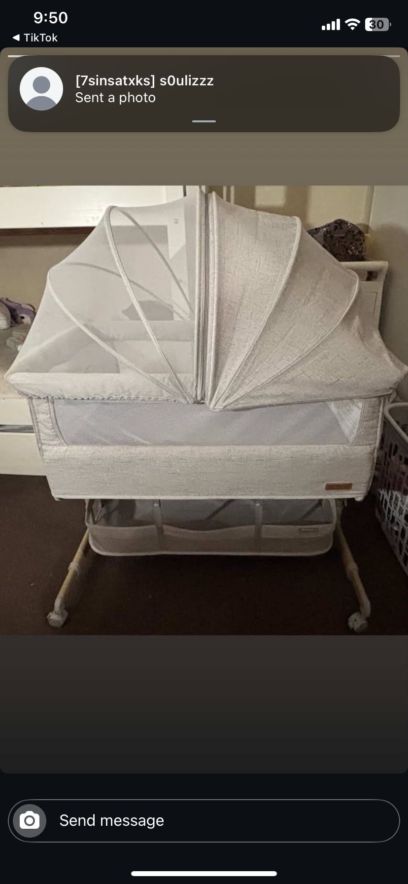 Besrey Original Bassinet (need Gone ASAP)