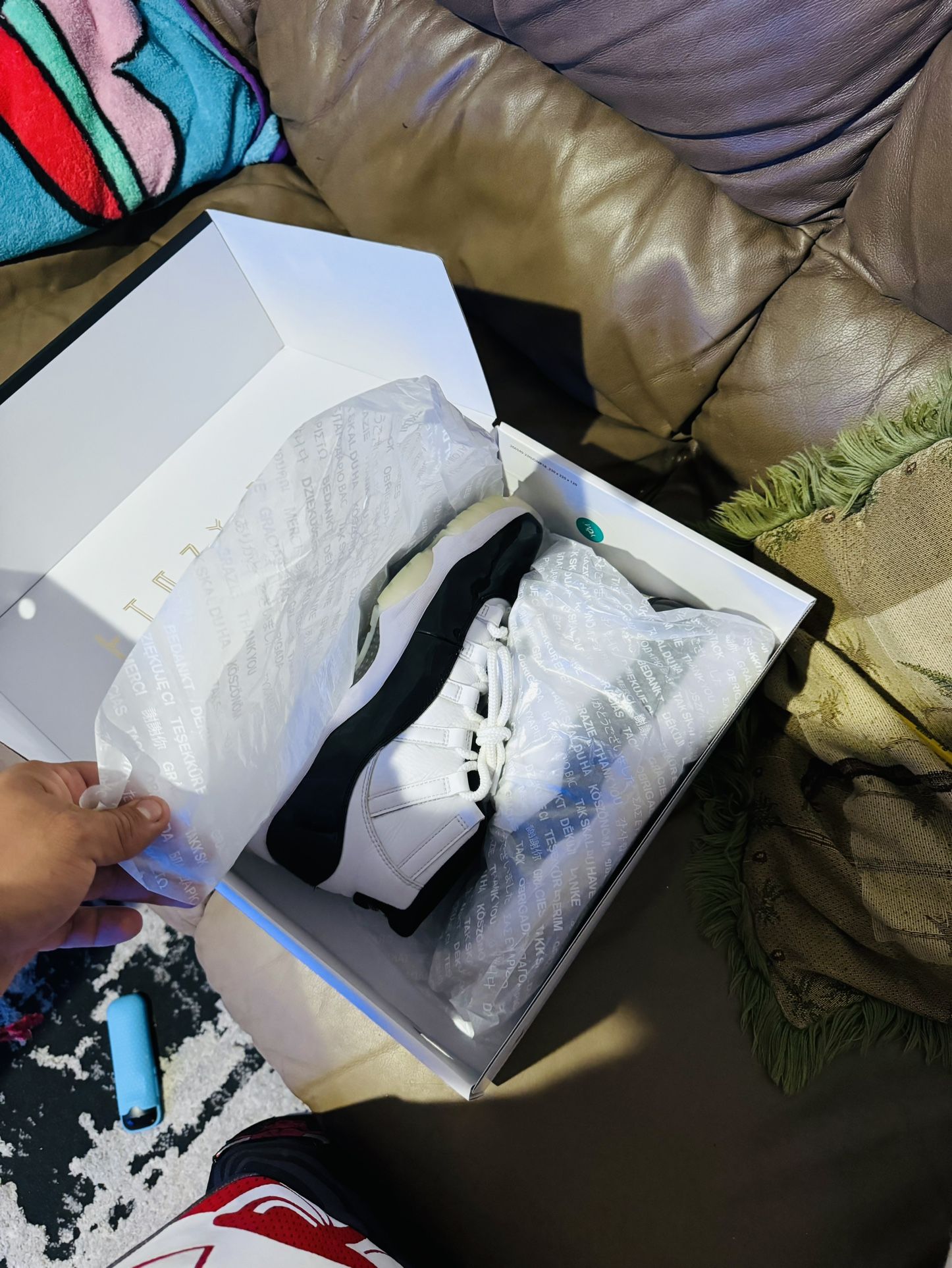 Jordan 11s Gratitude