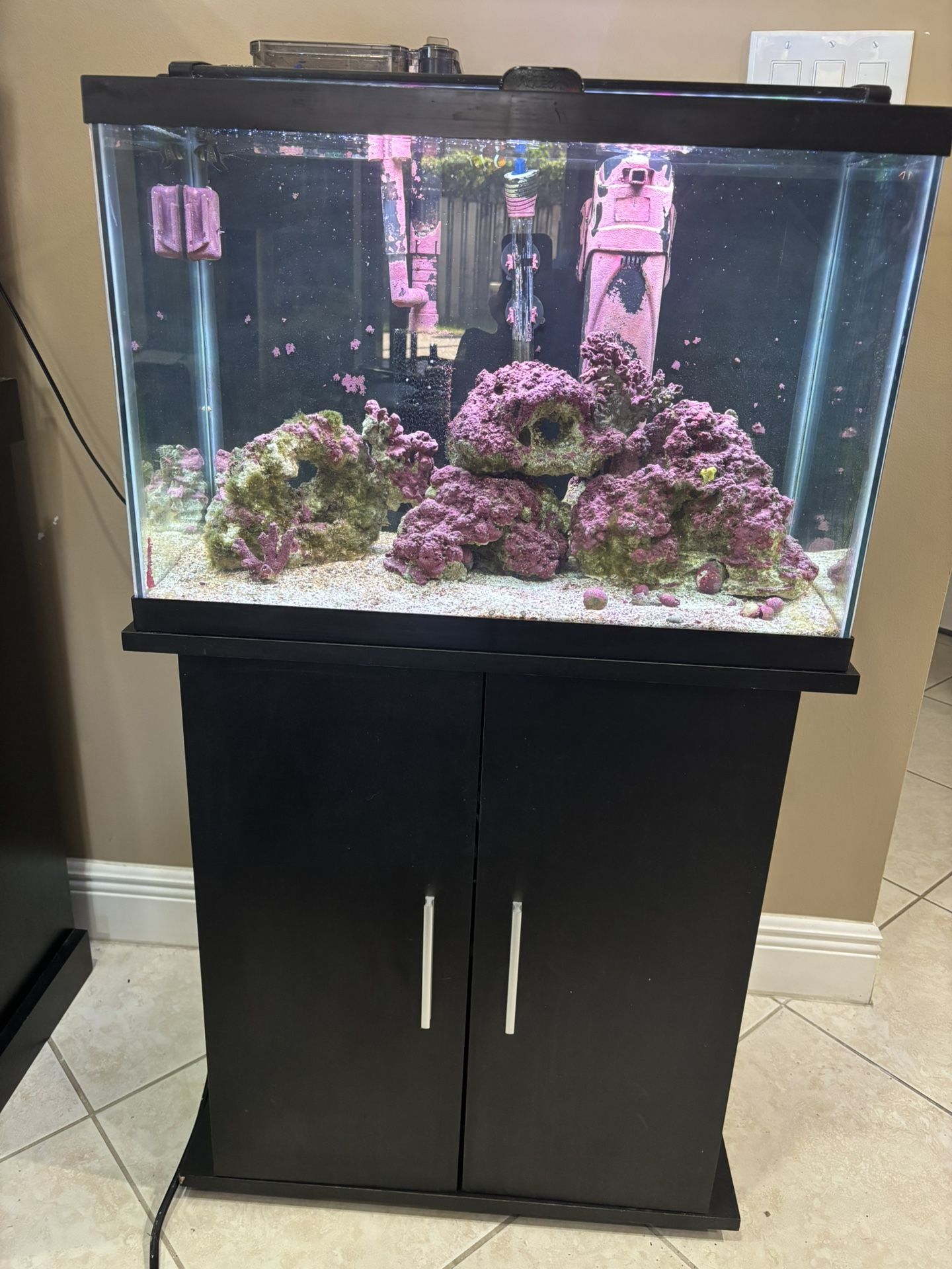 Fully Cycled 20-Gallon Saltwater Aquarium 