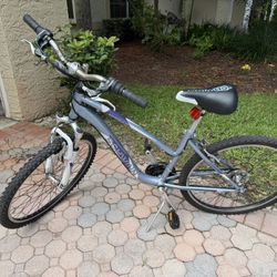 Schwinn Women’s Bike- needs minor tune up- AS IS