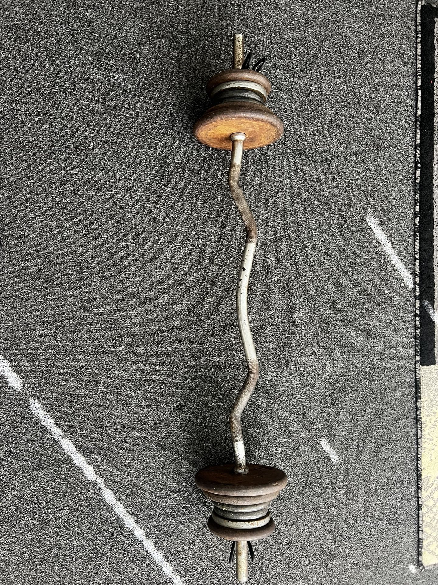 Curl Bar Pig Iron Weights 