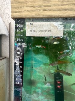 Aquarium