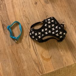 Kitten Harness And Collar