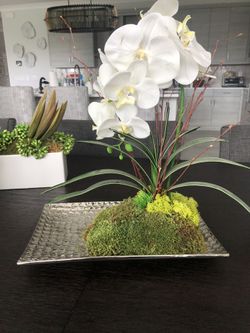 Gorgeous Fake Plants - $65 each