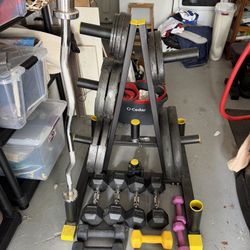 HOME GYM. Free weights / dumbbells / Bench / Weight rack 