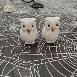 Salt N Pepper Shakers 