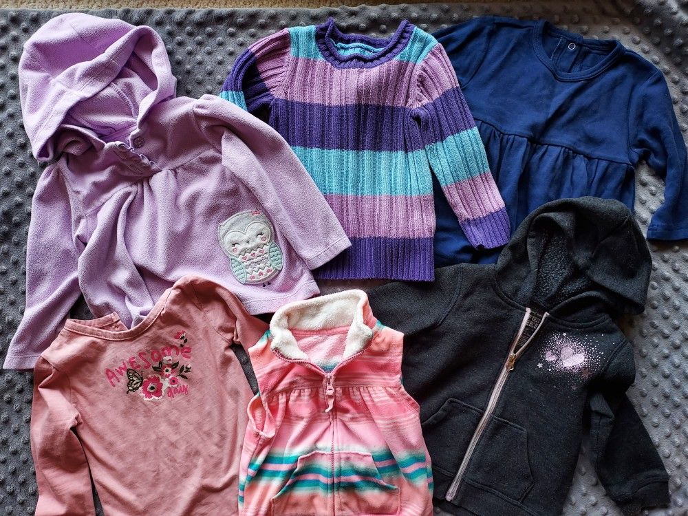 Hoodies and Blouses for 12 -18 months old girl