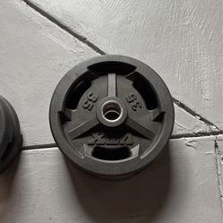 35 Lb Weight Plates  Set 