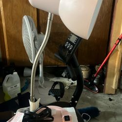 Pink Desk Lamp 