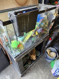 Fish Tank With Stand Complete