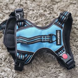 Small Dog Harness (NEW)