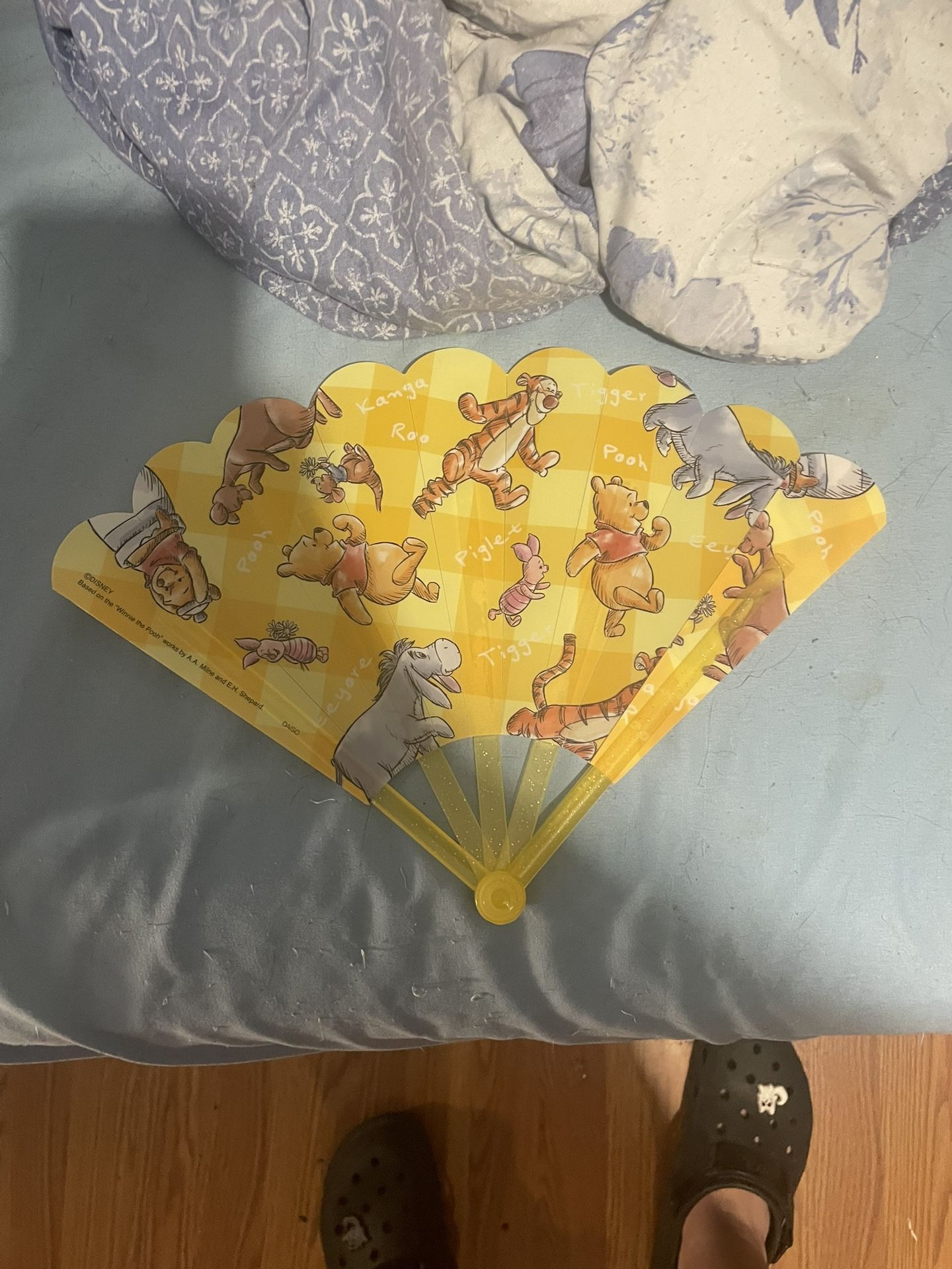 Winni The Pooh Fan