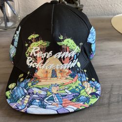 Rick And Morty Hat 