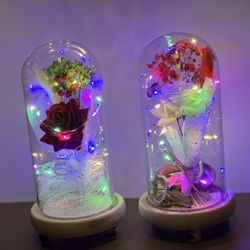 Enchanted Red Or White Rose In Dome