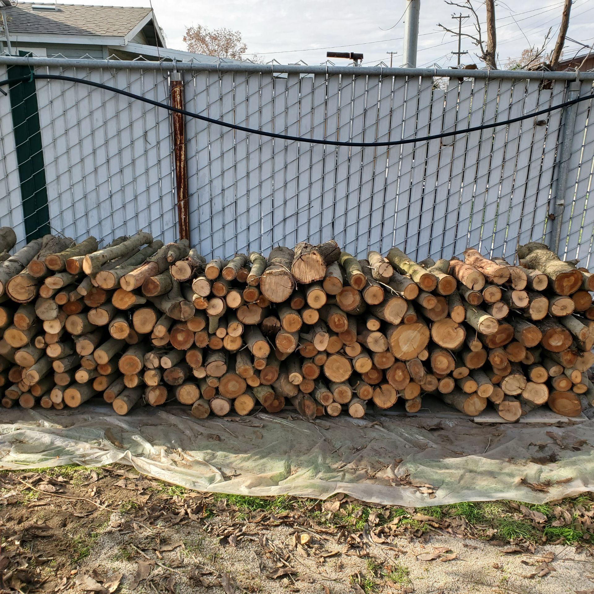 Almond Firewood