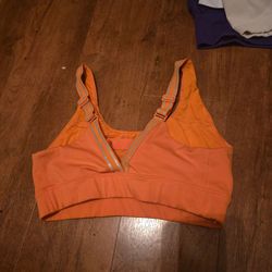 Gym shark