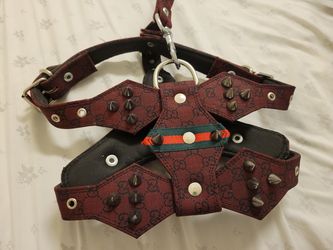 Spiked Gucci Dog Harness (Medium) W/ Leash for Sale in Addison, TX - OfferUp