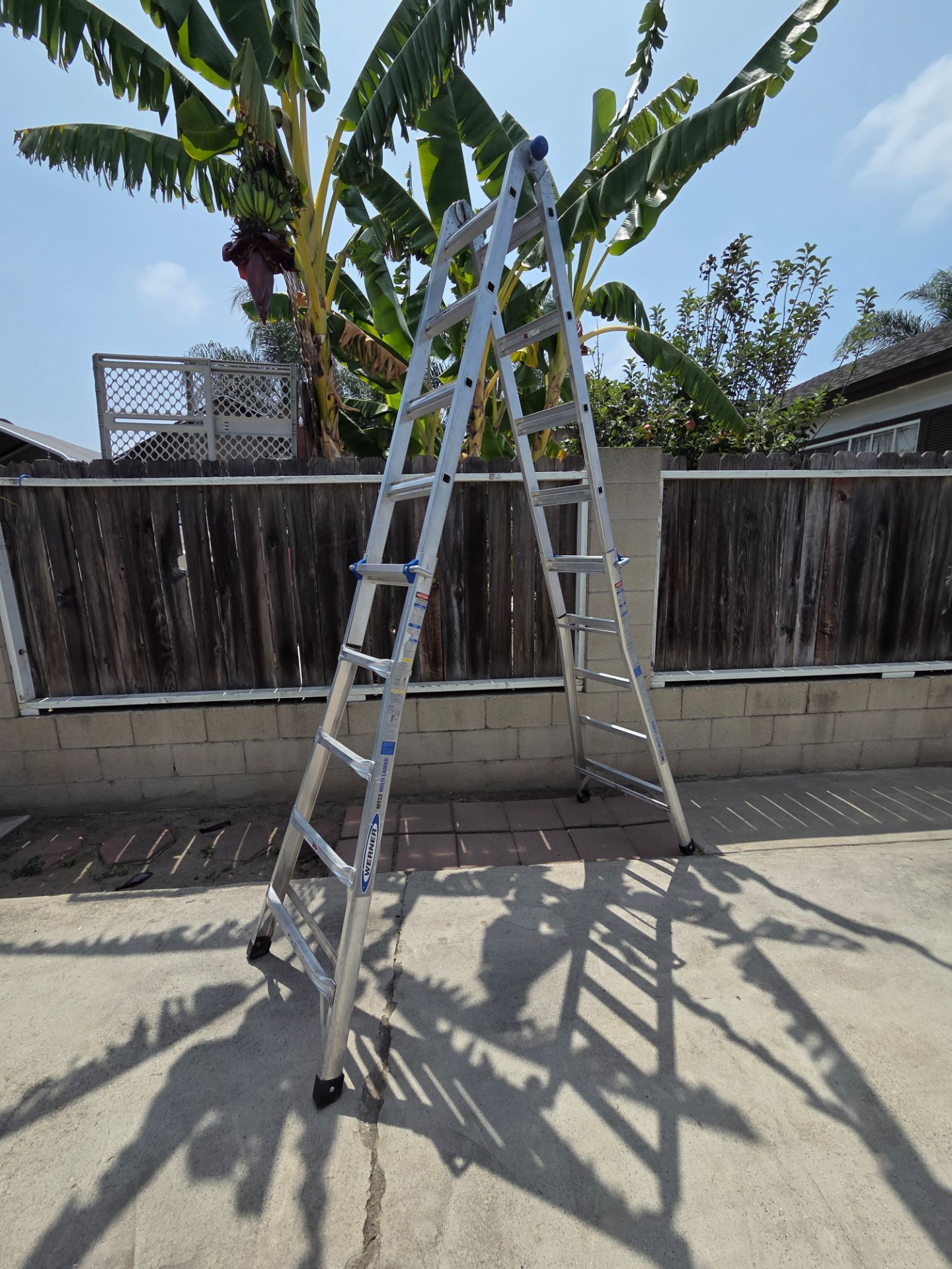 Ladder