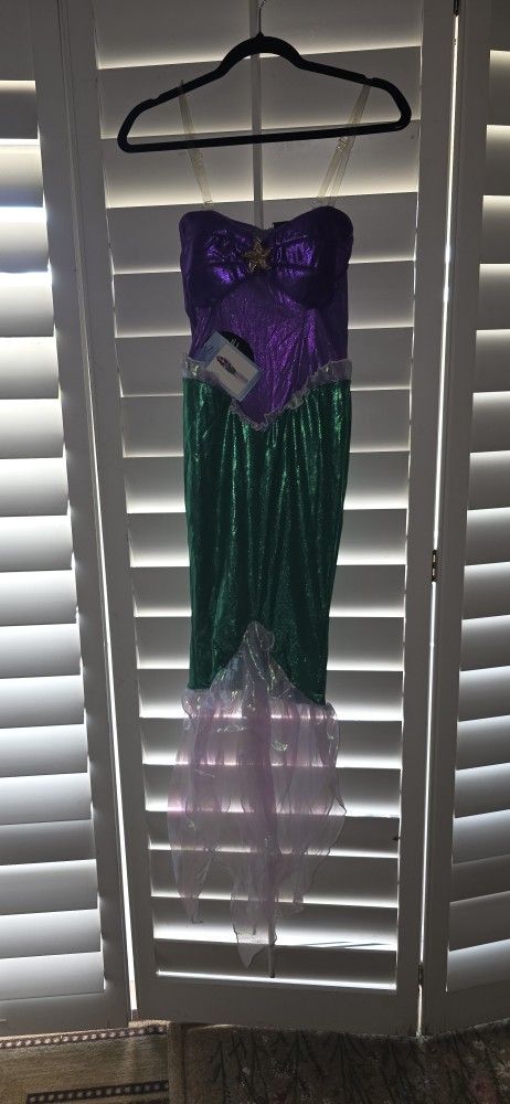 Halloween Costume. New Mermaid Out Fit. Little Mermaid.