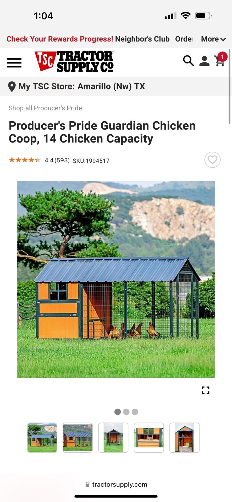 Chicken Coop