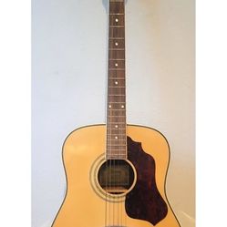Ibanez Acoustic Guitar