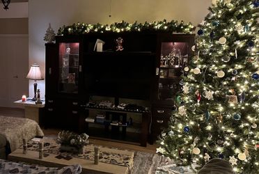 Entertainment Center