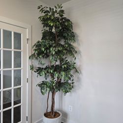 ​Grand 10ft Designer Faux Tree & Textured Planter
