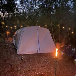 1 Acre Of Land In Ocala National Forest