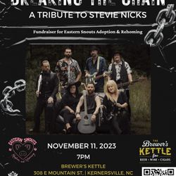 Breaking The Chain - A Stevie Nicks Tribute