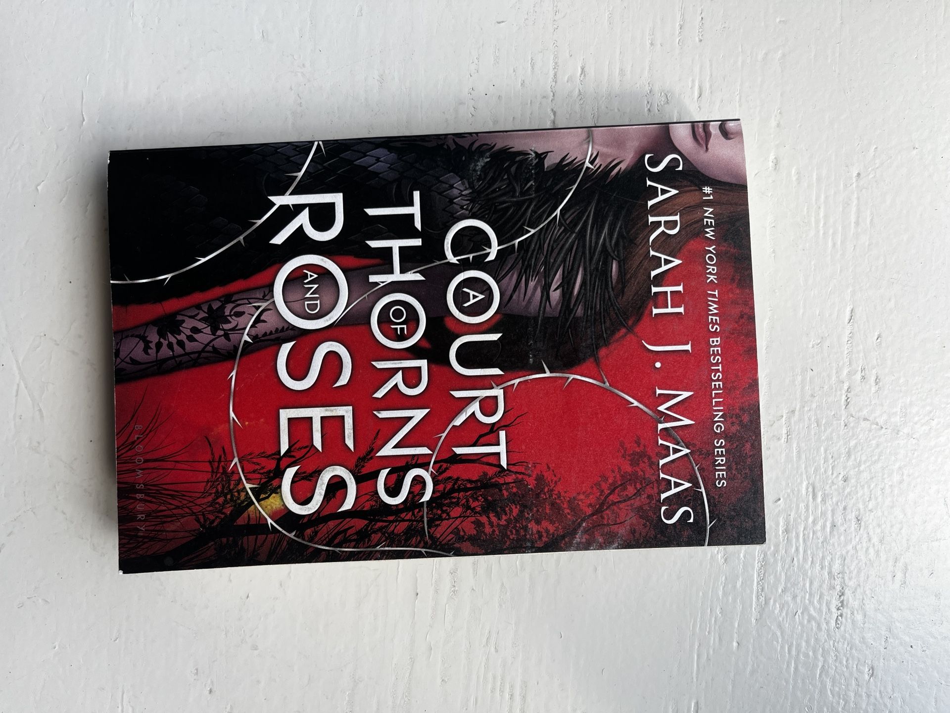 ACOTAR OOP Cover
