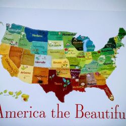 America Canvas Frame 