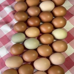 EGGS