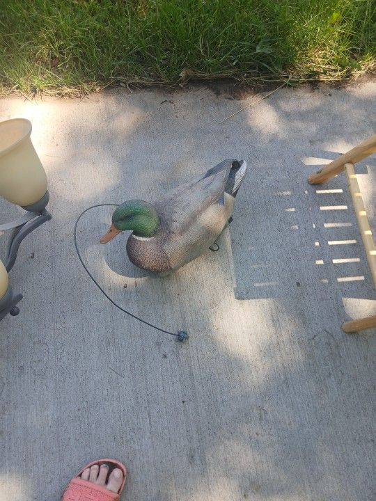 Duck (Mallard Drake) Decoy