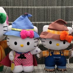 Cvs Hello Kitty Greeter & Side Steppers 